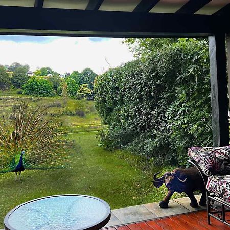Malachite Manor Underberg Zewnętrze zdjęcie